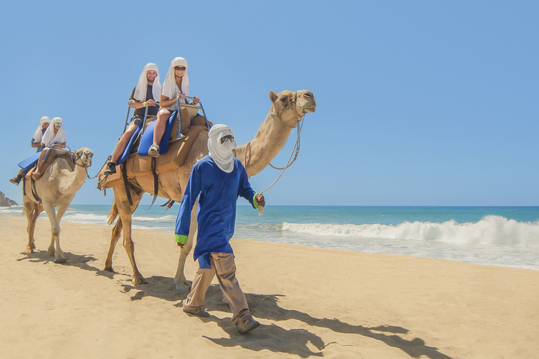 Cabo San Lucas: Camel Safari Tour with Lunch and Tequila