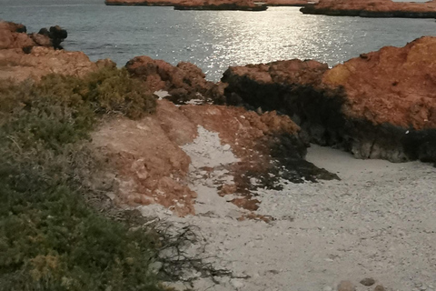 Excursions de plongée avec masque et tuba dans les îles Daymaniyat