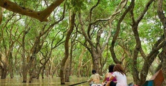 Kampong Phluk Floating Village Mangrove Forests Private Tour