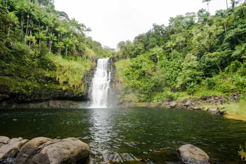 Big Island: Hilo Chocolate and Waterfalls Adventure