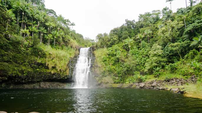 big island hilo chocolate and waterfalls adventure