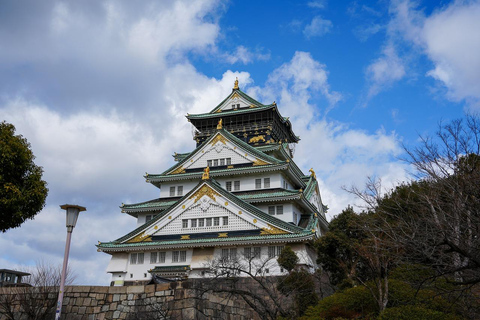 京都与奈良：一日游亮点之旅，专属私人轿车服务京都与奈良：一日游精华行程，专属私人轿车服务
