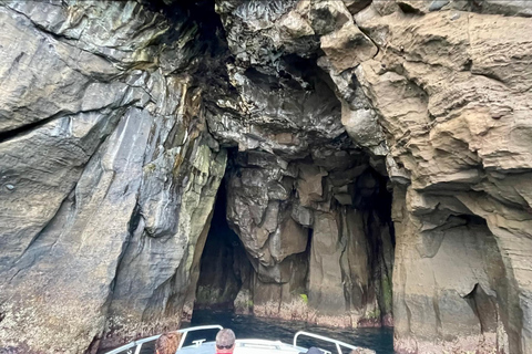 Isola di Faial: Tour unico in barca al vulcano Capelinhos