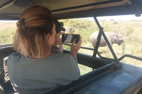 Tarangire National Park Day Trip with Pickup from Arusha
