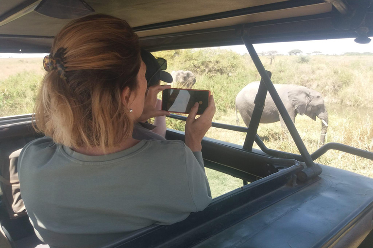 Tarangire National Park Day Trip with Pickup from Arusha