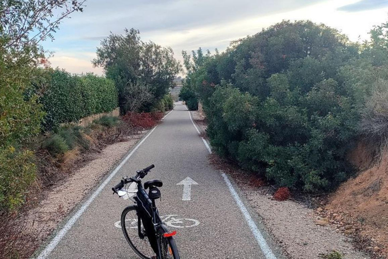 Active Bike Tour: River Turia Natural Park. Private Bike Tour 5 hours