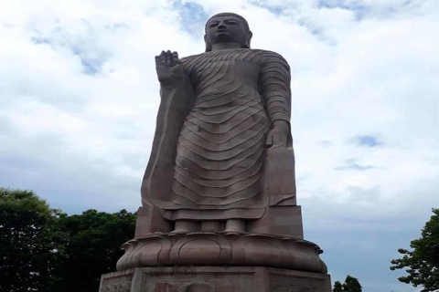 Desde Varasani: Tour privado de medio día a Sarnath