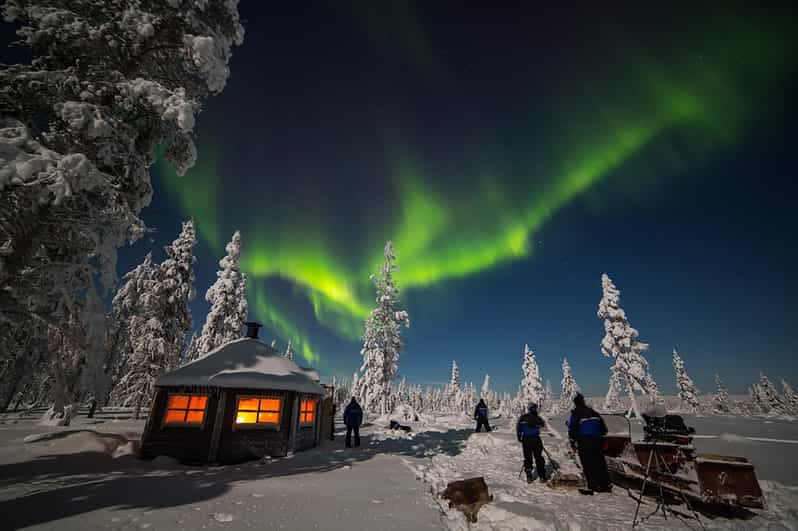 rovaniemi private tour