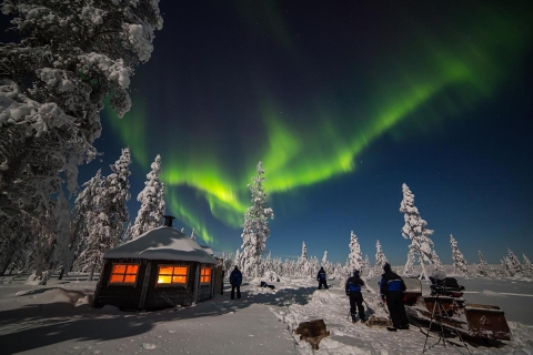 Rovaniemi: Leśna sauna z zorzą polarną