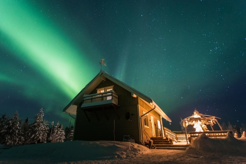 Rovaniemi: Leśna sauna z zorzą polarną