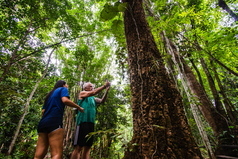 Explore Sri Sangwan Waterfall and Giant Cave I Chiang Mai