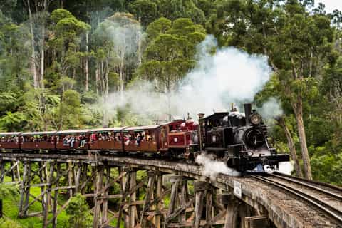 from melbourne healesville sanctuary puffing billy train
