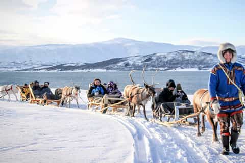 Tromsø: Sleerijden & rendieren voederen met een Sami gids