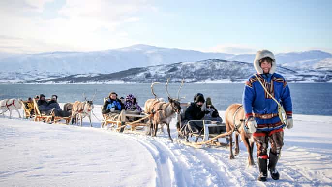 tromsø reindeer sledding feeding with a sami guide