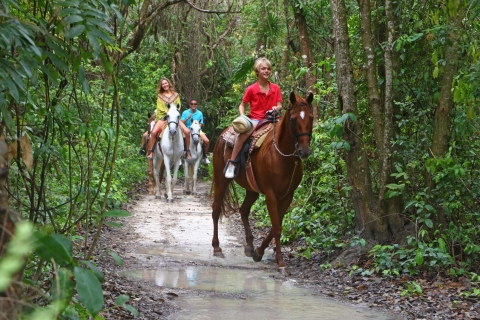 Paardrijden in de tropische jungle