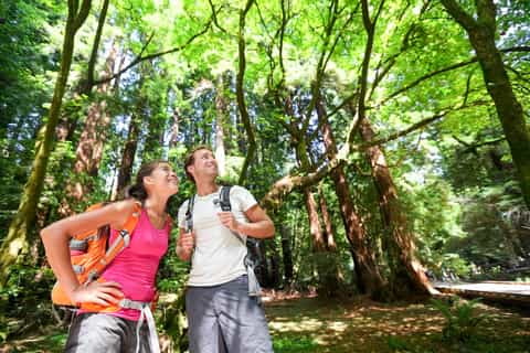 Muir Woods & Sausalito: Half-Day Tour from San Francisco