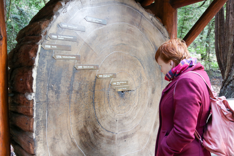 De São Francisco: Excursão Meio Dia a Muir Woods e Sausalito