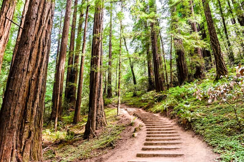 muir woods tour from sausalito