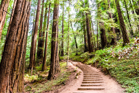 Van San Francisco: halve dagtrip naar Muir Woods en Sausalito