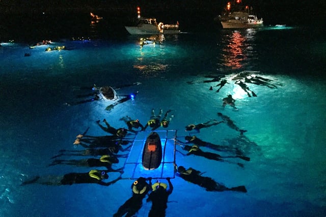 Kailua Kona : Aventure nocturne avec les raies manta sur la Grande île