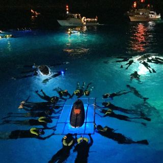 Big Island, Hawaii: Night Manta Ray Snorkel Experience