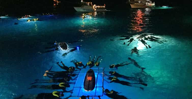 Big Island Hawaii Night Manta Ray Snorkel Experience GetYourGuide