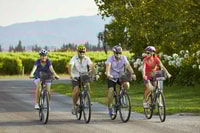 Marlborough Ganztägige selbst geführte Radkabine Weintour - Housity