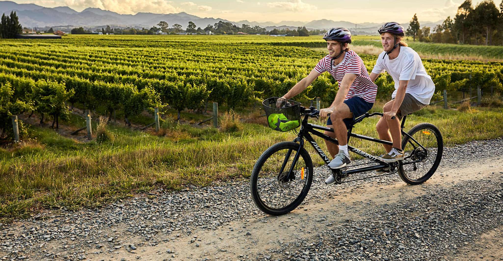 Marlborough Full-Day Self-Guided Biking Wine Tour - Housity