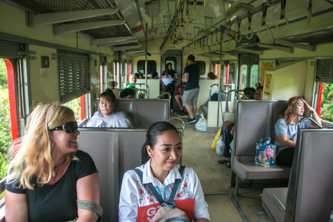 Damnoen Saduak Floating Market & Maeklong Train Market Tour Premium 9 seat with hotel pick up and drop off