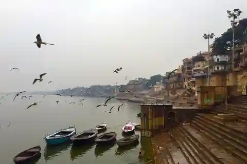 Excursão particular de 1 dia a Varanasi e ao Templo do Macaco