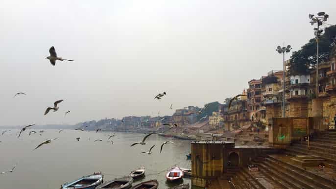 private fullday varanasi tour monkey temple