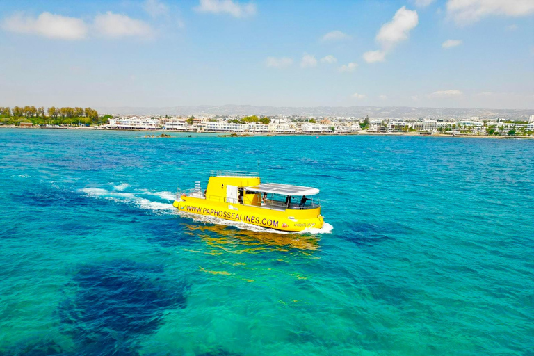 Pafos: Crucero a nado de 2 horas con observación de tortugas y bebidas