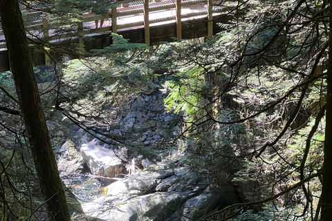 Vancouver: Regenwald-Wasserfall-Wanderung und Hängebrücke