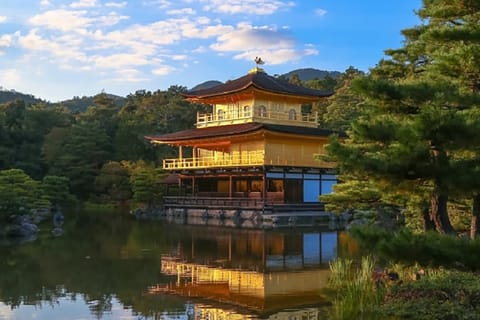 Kyoto and Nara 1 Day Bus Tour from Osaka/Kyoto