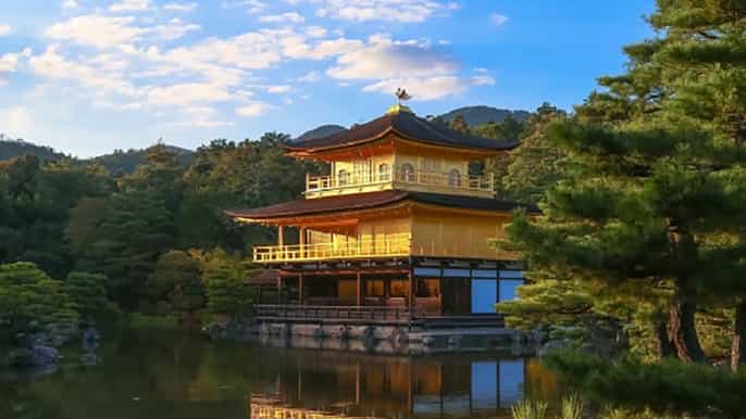 desde osaka/kioto tour de 1 día en autobús a kioto y nara