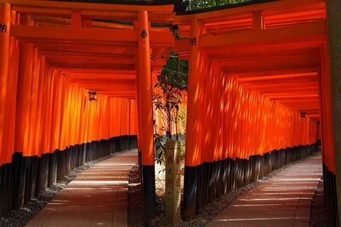 Kyoto und Nara: Tagestour per Bus ab Osaka oder KyotoTour von VIP-Lounge Kyoto - 9 Uhr