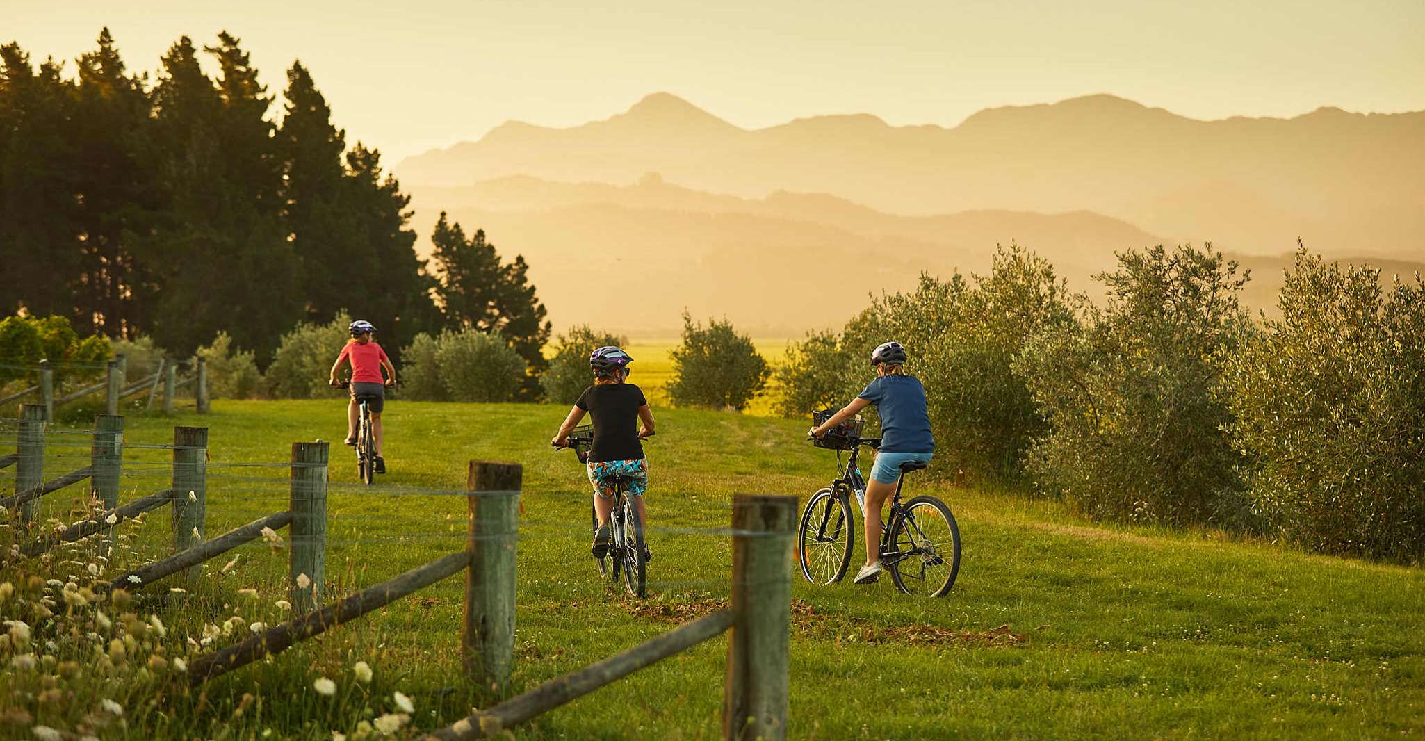 Marlborough Half Guided & Half Self-Guided Bike Wine Tour - Housity