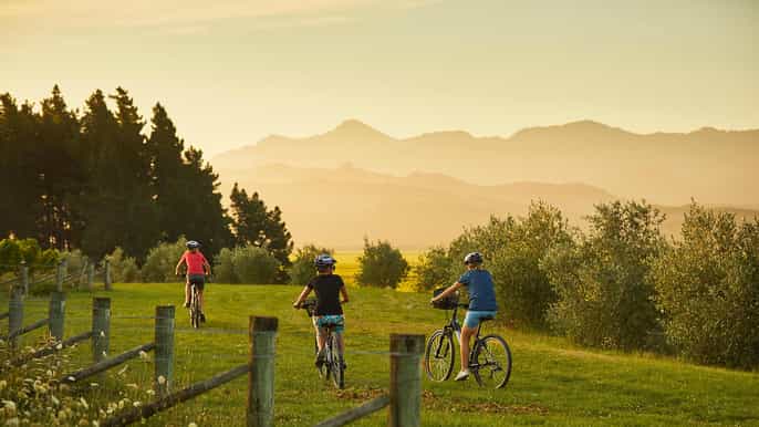 marlborough half guided half selfguided bike wine tour