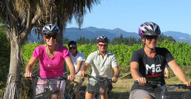 Marlborough: Half Guided and Half Self-Guided Bike Wine Tour