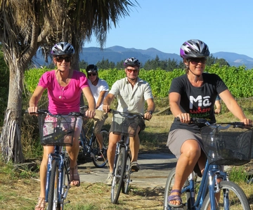 Marlborough: Tour del vino in bicicletta con mezza guida e mezza autoguida