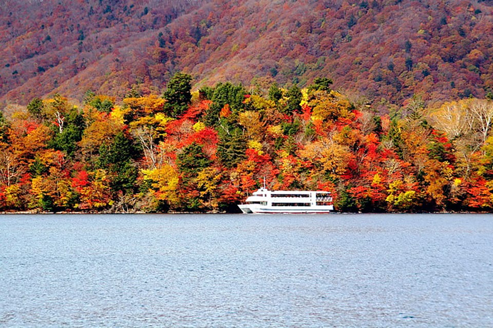 nikko bus tour from tokyo