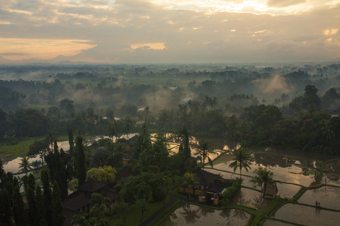 Ubud: Hot Air Balloon Experience Hot Air Balloon Experience with Dinner Included