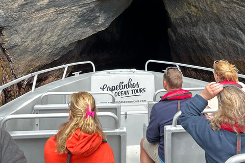 Île de Faial : Tour en bateau unique au volcan Capelinhos