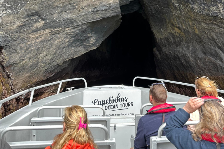 Île de Faial : Tour en bateau unique au volcan Capelinhos