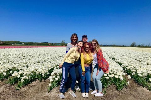 Alkmaar: tour in bici dei campi di tulipani e fiori primaverili