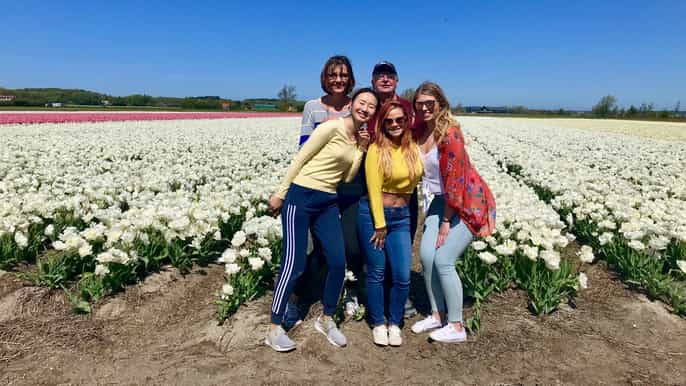 alkmaar excursão de bicicleta pelos campos de flores de tulipas e primavera