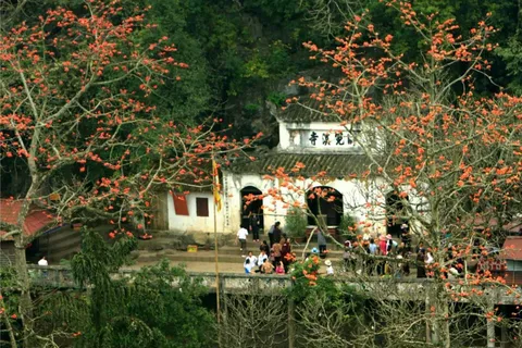Excursión de un día a la Pagoda del Perfume Desde Hanói