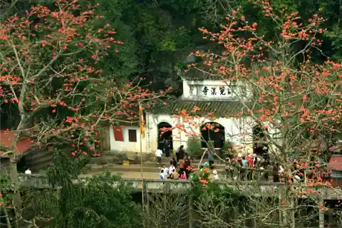 Perfume Pagoda Full-day trip From Hanoi