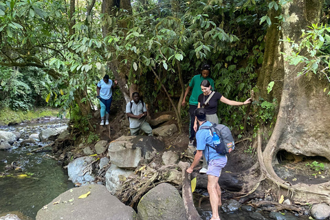 Monte Meru Arusha: Caminhada na cascata de Napuru por Kingstone Asilia