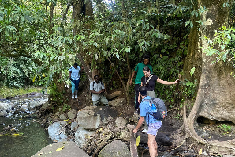 Mount Meru Arusha: wędrówka do wodospadu Napuru przez Kingstone Asilia